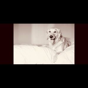 Meet your Posher, Arissa